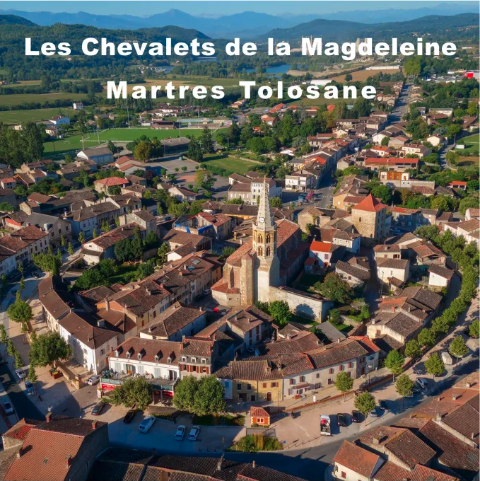 Couverture Les Chevalets de la Magdeleine