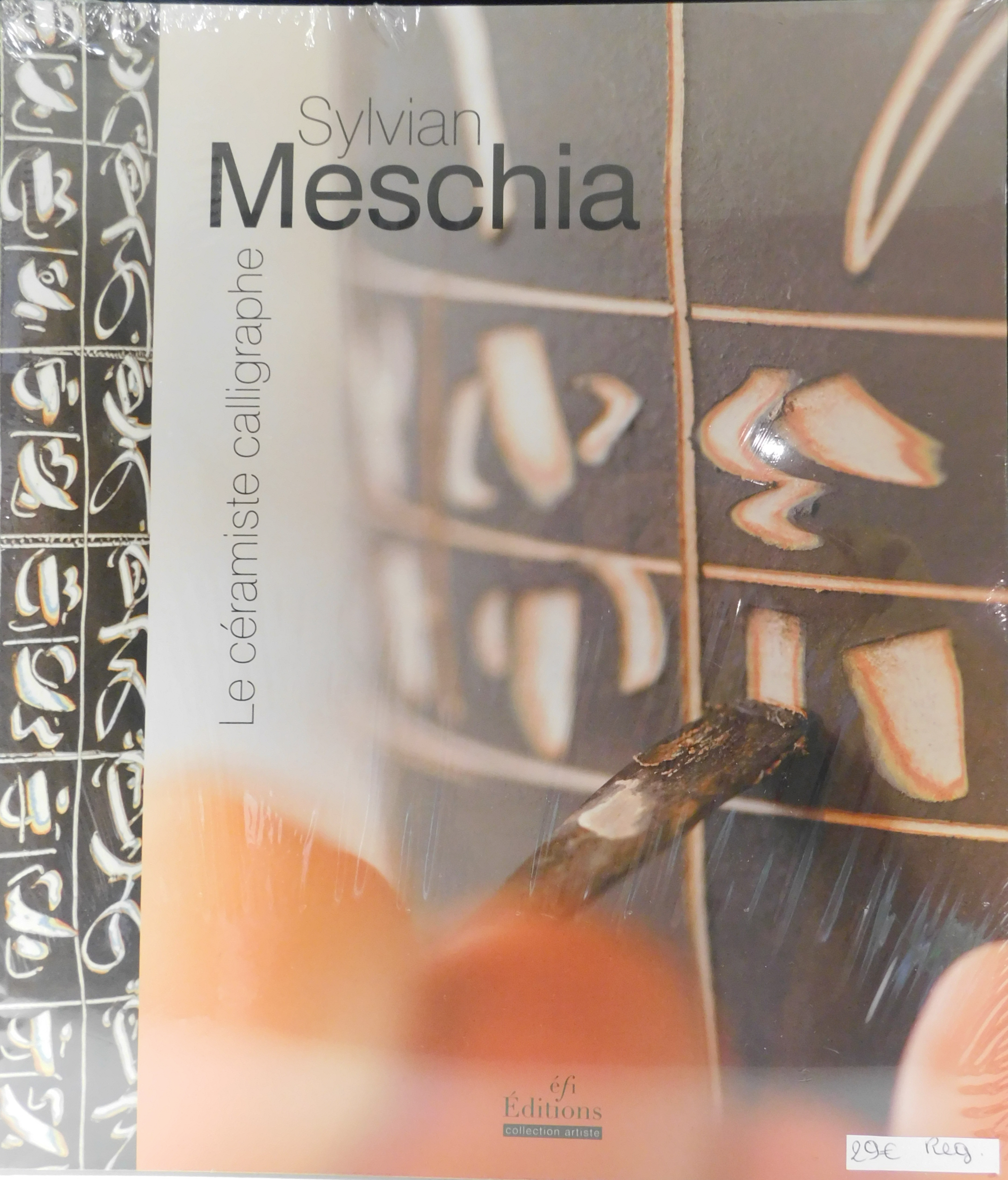 Sylvain Meschia